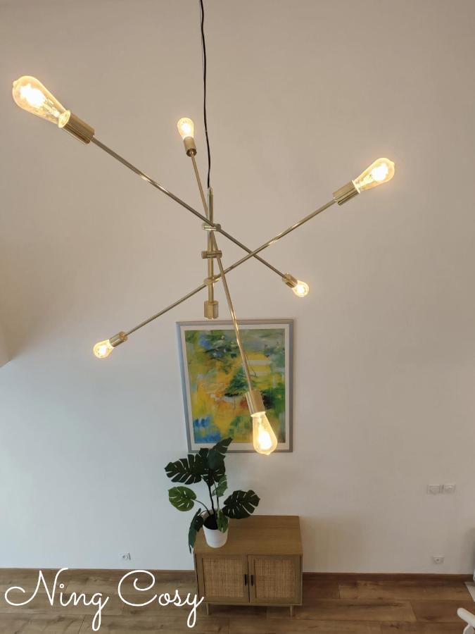 Superbe Cosy Duplex Appartement T3 Charpenne Tete D'Or Avec Parking Prive Gratuit Villeurbanne Exterior foto